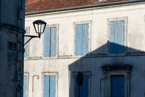 Traitement Punaises de Lit Villeneuve-Saint-Georges